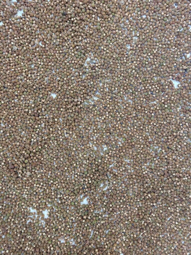 fb img 1774754888219