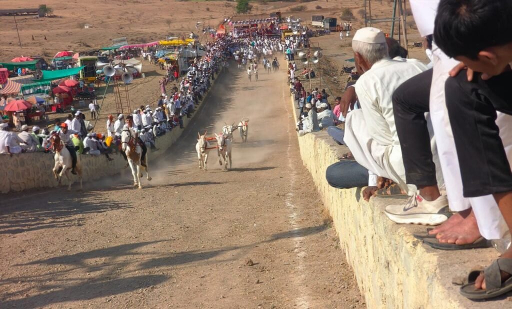 भिर्रर्र…. भिर्रर्र….झाली…. उचल की टाक…. सेकंद…. अशा भारदस्त पहाडी आवाजात संपन्न झाली वडगावपीर येथील पिरसाहेब यात्रेनिमित्त बैलगाडा शर्यत!! img 20260314 wa0314