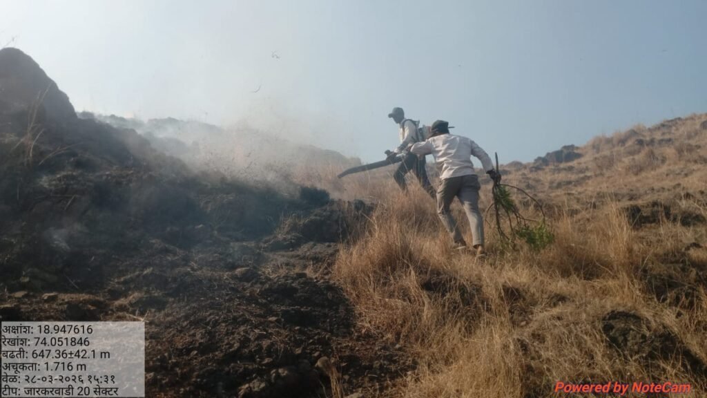 डोंगरावर वणवे लावणाऱ्या लोकांवर गुन्हे दाखल करण्याची मागणी !! img 20260329 wa0630