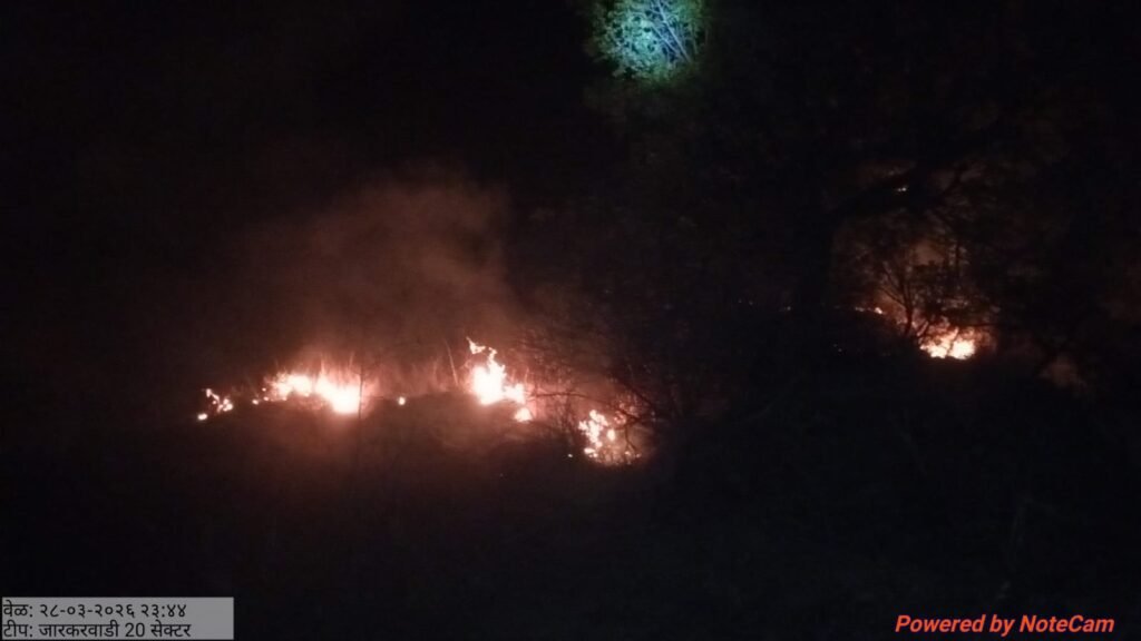 डोंगरावर वणवे लावणाऱ्या लोकांवर गुन्हे दाखल करण्याची मागणी !! img 20260329 wa0631