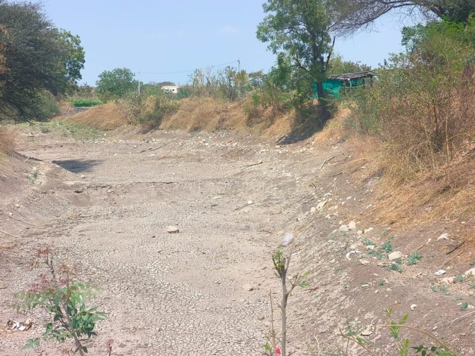 motion photo 8228824400568671106