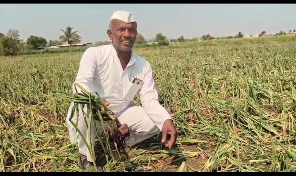 आंबेगाव तालुक्यातील पूर्व भागाला अवकाळीचा तडाखा; नगदी पिकांचे व पशुधनाचे प्रचंड नुकसान !! img 20260403 wa0280