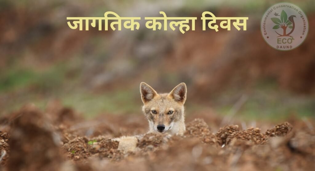 f3819c7aa0b44c4db78312276baffbd4