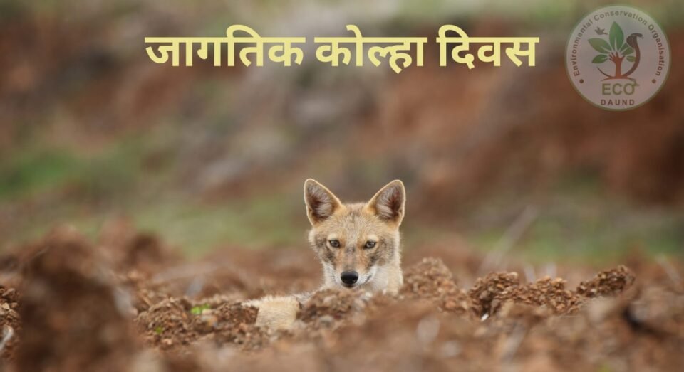 f3819c7aa0b44c4db78312276baffbd4