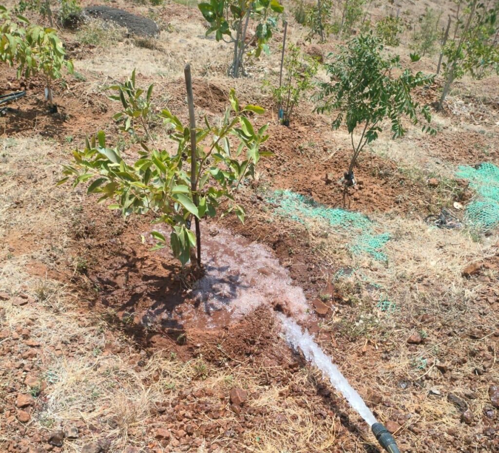 लोकसहभागातून फुलवली वनराई; आंबेगाव तालुक्यातील लोणी ग्रामस्थांचा आदर्श उपक्रम !! img 20260510 wa0045