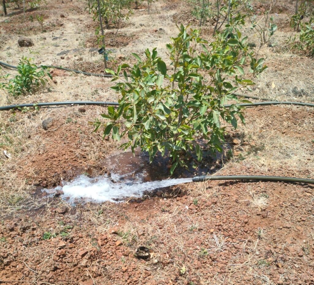 लोकसहभागातून फुलवली वनराई; आंबेगाव तालुक्यातील लोणी ग्रामस्थांचा आदर्श उपक्रम !! img 20260510 wa0047