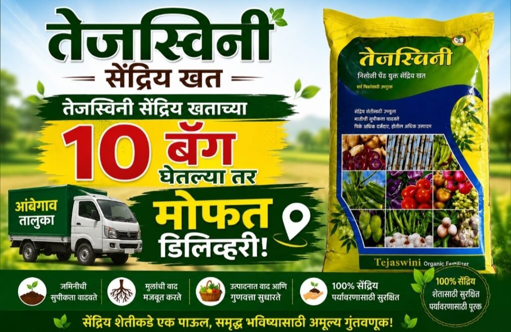 जारकरवाडी येथील लबडेवस्ती विद्युत डीपी जवळ रस्त्यावर पडलेत मोठे खड्डे !! 1009760331