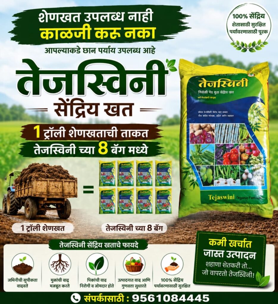जारकरवाडी येथील लबडेवस्ती विद्युत डीपी जवळ रस्त्यावर पडलेत मोठे खड्डे !! 1009760332