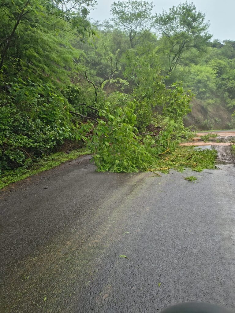 लोणी वाफगाव घाटात अती पावसाने झाडे आणि मातीचा मलबा कोसळला !! 1010100240