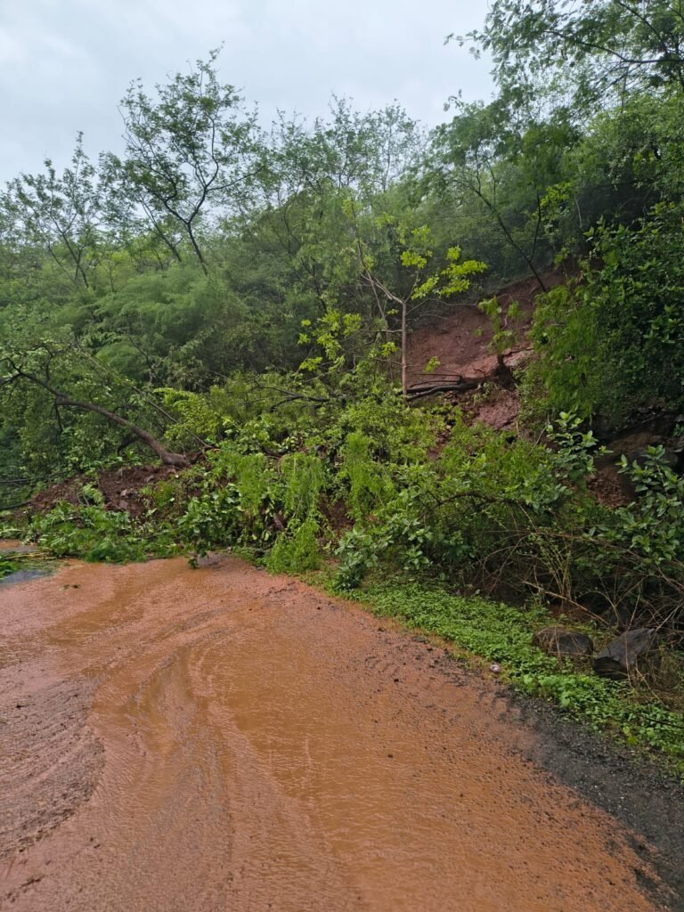लोणी वाफगाव घाटात अती पावसाने झाडे आणि मातीचा मलबा कोसळला !! 1010100242