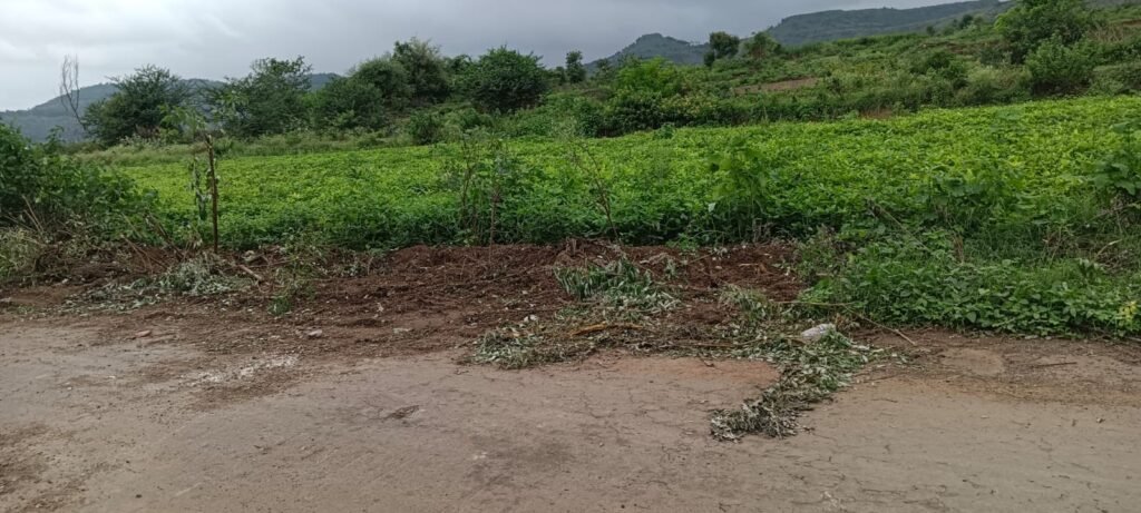जारकरवाडी फाटा–लोणी (धामणी) रस्त्यालगतची झाडे-झुडपे अखेर हटवली; मात्र खड्ड्यांचे साम्राज्य कायम !! 1010337326