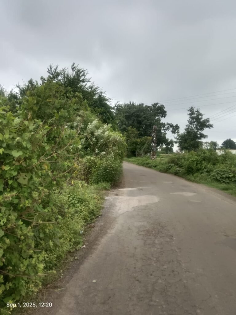 हिंगेवस्ती- अवसरी बुद्रक ते पहाडदरा रस्त्याच्या घाटात धोकादायक काटेरी झाडा-झुडपांनी विळखा !! 1010526270