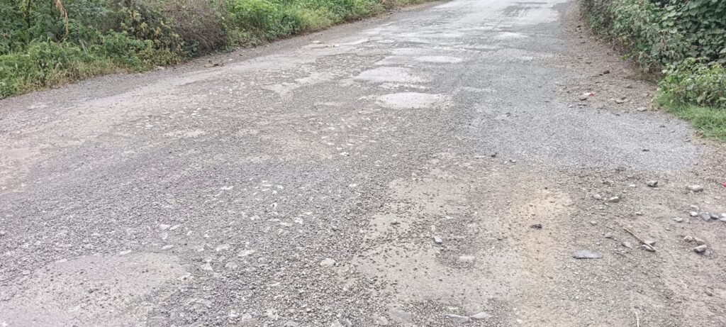 निरगुडसर फाटा ते लोणी रस्ता वाहनचालक,प्रवाशांची दुरुस्तीवर नाराजी !! 1010845371