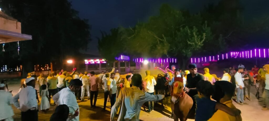 दुष्काळाच्या सावटाखाली बैलपोळा सण साधेपणाने साजरा ; आंबेगाव तालुक्याच्या पूर्व भागात बळीराजाची आर्थिक कोंडी; लोणी, धामणीसह अनेक गावांत बैलांची साधेपणाने मिरवणूक !! 1011260137
