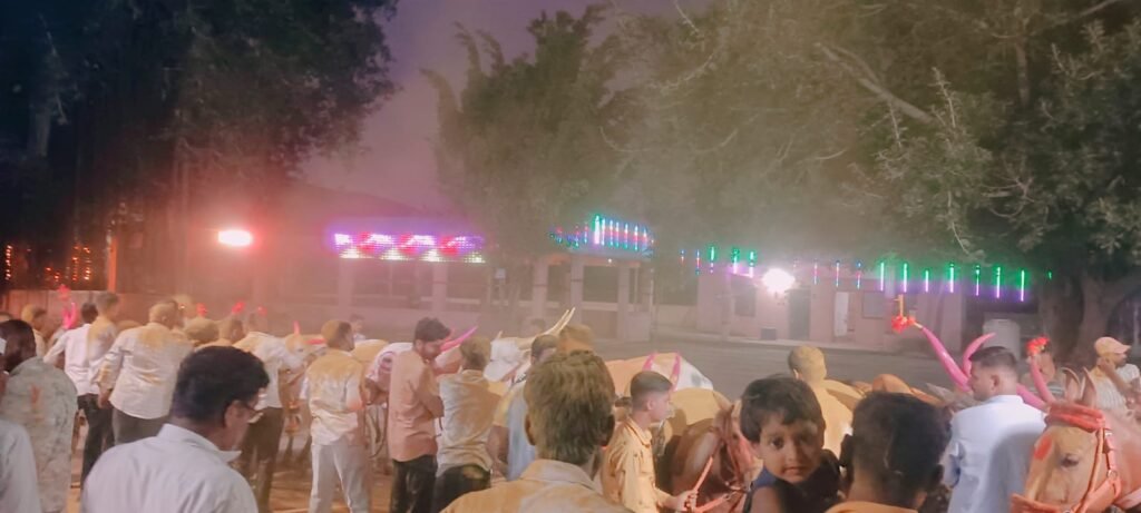 दुष्काळाच्या सावटाखाली बैलपोळा सण साधेपणाने साजरा ; आंबेगाव तालुक्याच्या पूर्व भागात बळीराजाची आर्थिक कोंडी; लोणी, धामणीसह अनेक गावांत बैलांची साधेपणाने मिरवणूक !! 1011260147