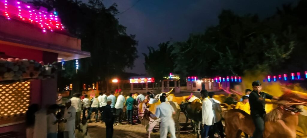दुष्काळाच्या सावटाखाली बैलपोळा सण साधेपणाने साजरा ; आंबेगाव तालुक्याच्या पूर्व भागात बळीराजाची आर्थिक कोंडी; लोणी, धामणीसह अनेक गावांत बैलांची साधेपणाने मिरवणूक !! 1011260160
